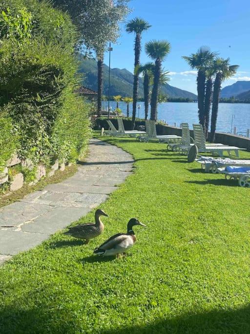 ביסונה Holiday On The Lake Lugano 2-16 מראה חיצוני תמונה